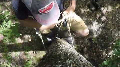 Saddle Hunting Safety- Ring of Steps and Platform- Entering and Exiting