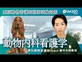 【Vet360 Prime】愛玩動物看護師Shinの絶対合格教室：#6 動物内科看護学