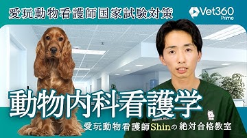 【#6 動物内科看護学】愛玩動物看護師国家試験：愛玩動物看護師Shinの絶対合格教室