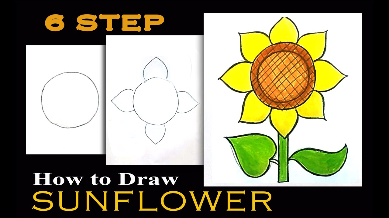 How to draw sunflower in 6 steps/ how to draw sunflower easy - YouTube