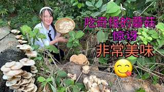 我第一次尝试这种蘑菇时，我感到非常惊讶，因为它是如此美味｜越南小竹