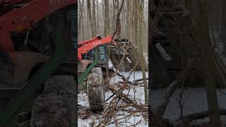 PERFECT WINTER CONDITIONS to start LOGGING TODAY in NORTHEAST OHIO!