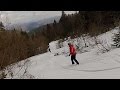 Skiing powder and snowboarding freestyle through forest at jahorina