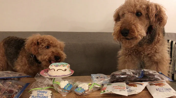 Get away from my birthday cake Part 2