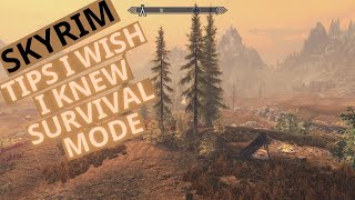 Skyrim Anniversary Edition: 20 Tips I Wish I Knew - Survival Mode Edition!