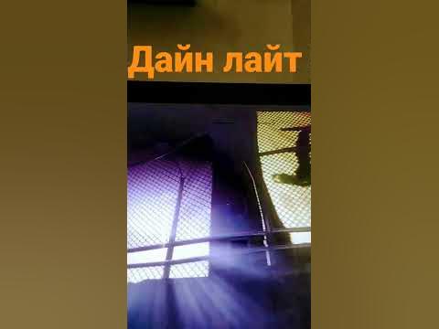 дайн лайт топ - YouTube