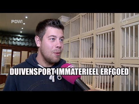 duivensport-immaterieel-erfgoed