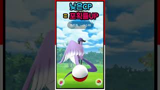 가라르 3새 등장![포켓몬고] #산책향로#포고#pogo#전설