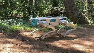 Meet Proteo: The Next-Generation Quadruped Robot with Cutting-Edge Features!