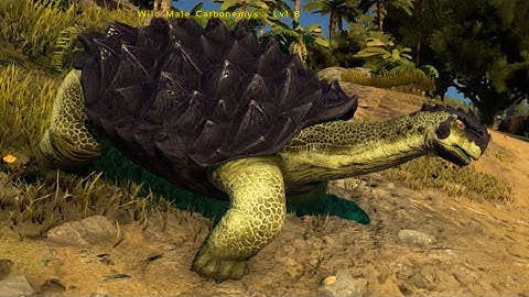 First Impressions - ARK: Survival Evolved