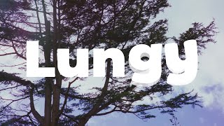 Lungy: Immersive Breathing Platform for Stress. Coming Soon for Asthma! screenshot 5