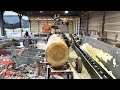 شجرة حور ضخمة على منشار Woodmizer Super 70 الخاص بي 