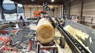 Massive oversized poplar tree 🌳 on my Woodmizer super 70 