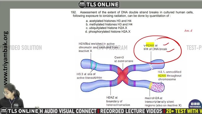 Khám Phá Mocbai - Bí Quyết Cá Cược Thông Minh
