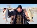 Рыбалка 2024 или Рыбалка в Сибири. Рыбалка на ХАПУГИ. Трудовая рыбалка с Матвеем. Рыбалка ХАПУГАМИ.