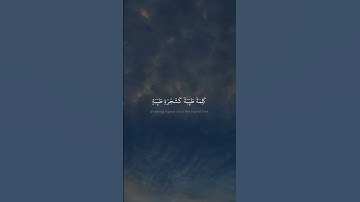 أَلَمۡ تَرَ كَيۡفَ ضَرَبَ ٱللَّهُ مَثَلٗا | محمد صديق المنشاوي | سورة إبراهيم