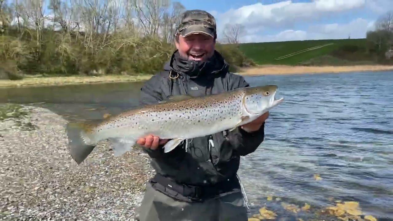 Spændende kystpladser på Als nr.  1.