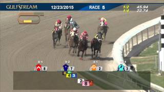Gulfstream Park Race 5 | December 23, 2015