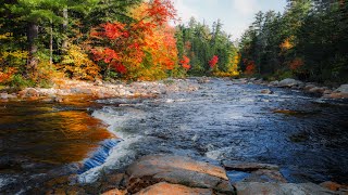 Peaceful Autumn River (4K) -  River Sounds | Relaxing Nature Video - Sleep, Study, Relax
