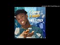 Nellyboi  spray the money official audio