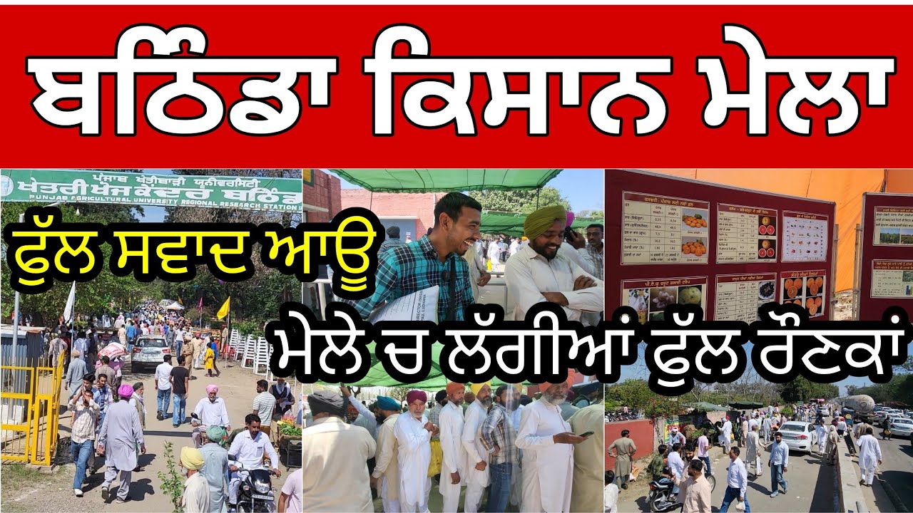 Bathinda Kisan Mela 2025 । ਮੇਲੇ ਵਿੱਚ ਹੋਈ ਕੁਰਬਲ ਕੁਰਬਲ ਬੀਜ਼ ਲੈਣ ਲਈ ਪੂਰਾ ਜੋਸ਼ । ਅੱਜ ਕਾਲੂ ਨੇ ਲੁੱਟਿਆ ਮੇਲਾ
