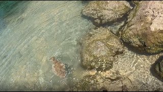 HALIBUT fishing in Orange County, CA