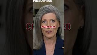 'WE SHOULD BE CONCERNED': Lawmaker warns of Iran sleeper cell threat #shorts