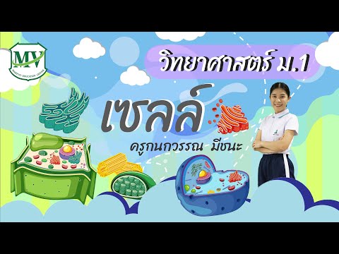 เรื่องเซลล์ วิทยาศาสตร์ ม.1