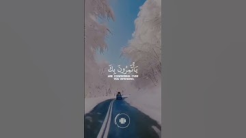 تلاوة طيبه بصوت القارئ ريان المحيسني 🌱Rayan #quran