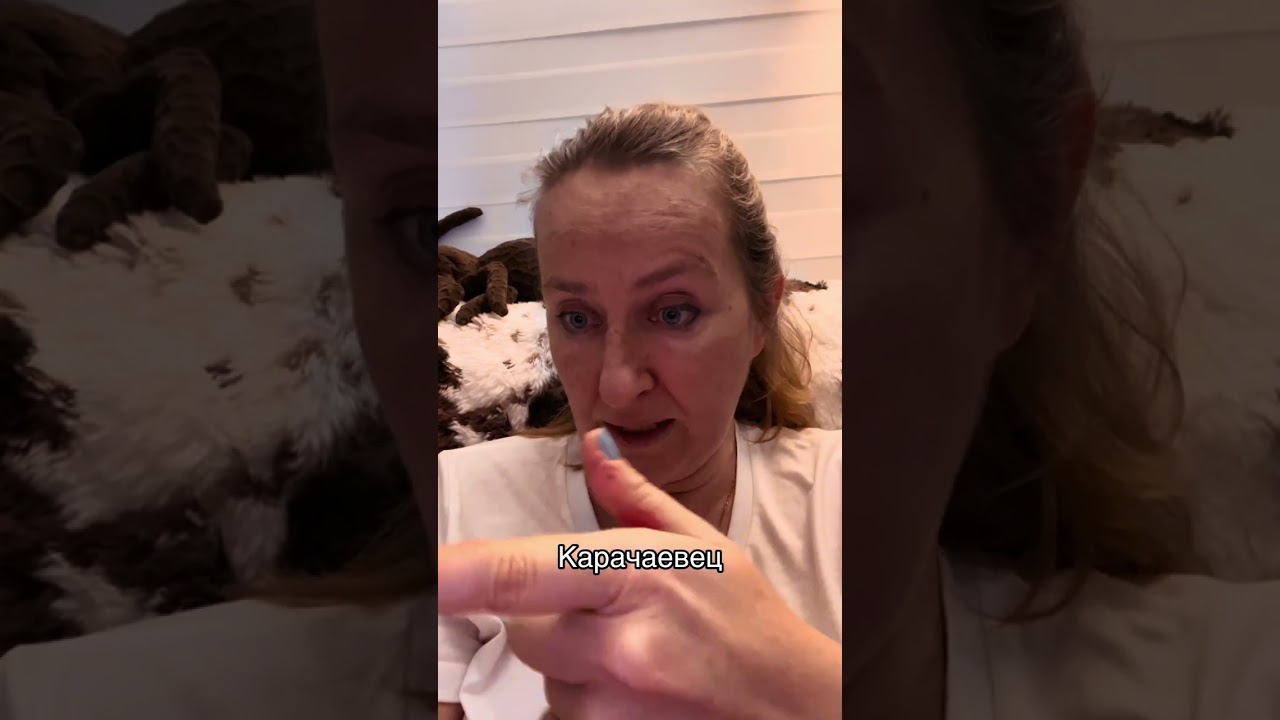 Карачаевец 