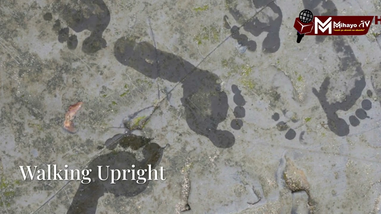 UJUE UNYAYO WAKWANZA WA BINADAMU WA KALE ( ULIGUNDULIWA ARUSHA )