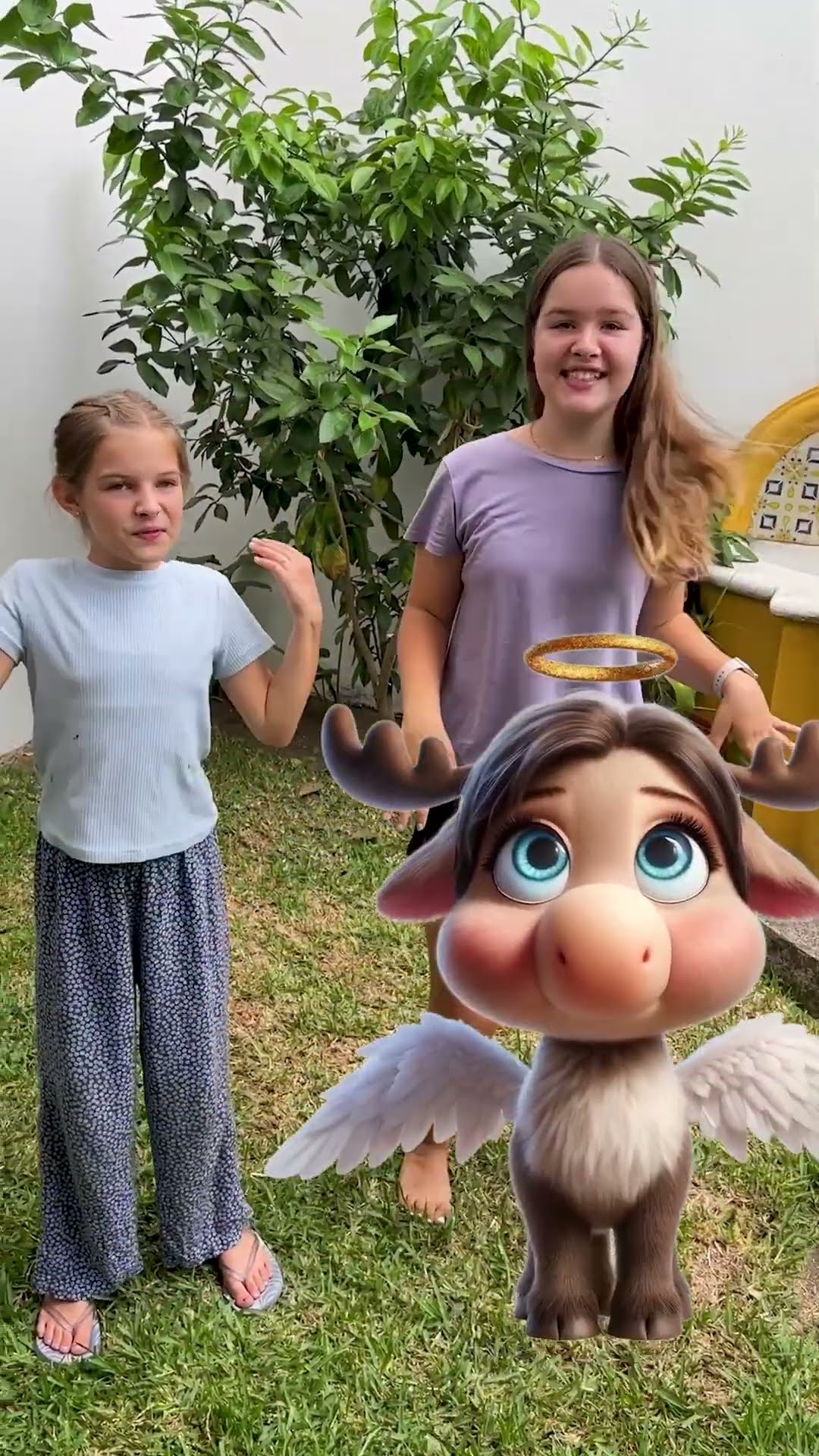 ? angel moose #kidssong