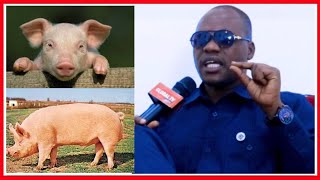 #EXCLUSIVE: MR MANGURUWE ALIYEWEKEZA MAMILIONI KUFUGA NGURUWE AFUNGUKA MSOTO HADI AKAJIPATA....