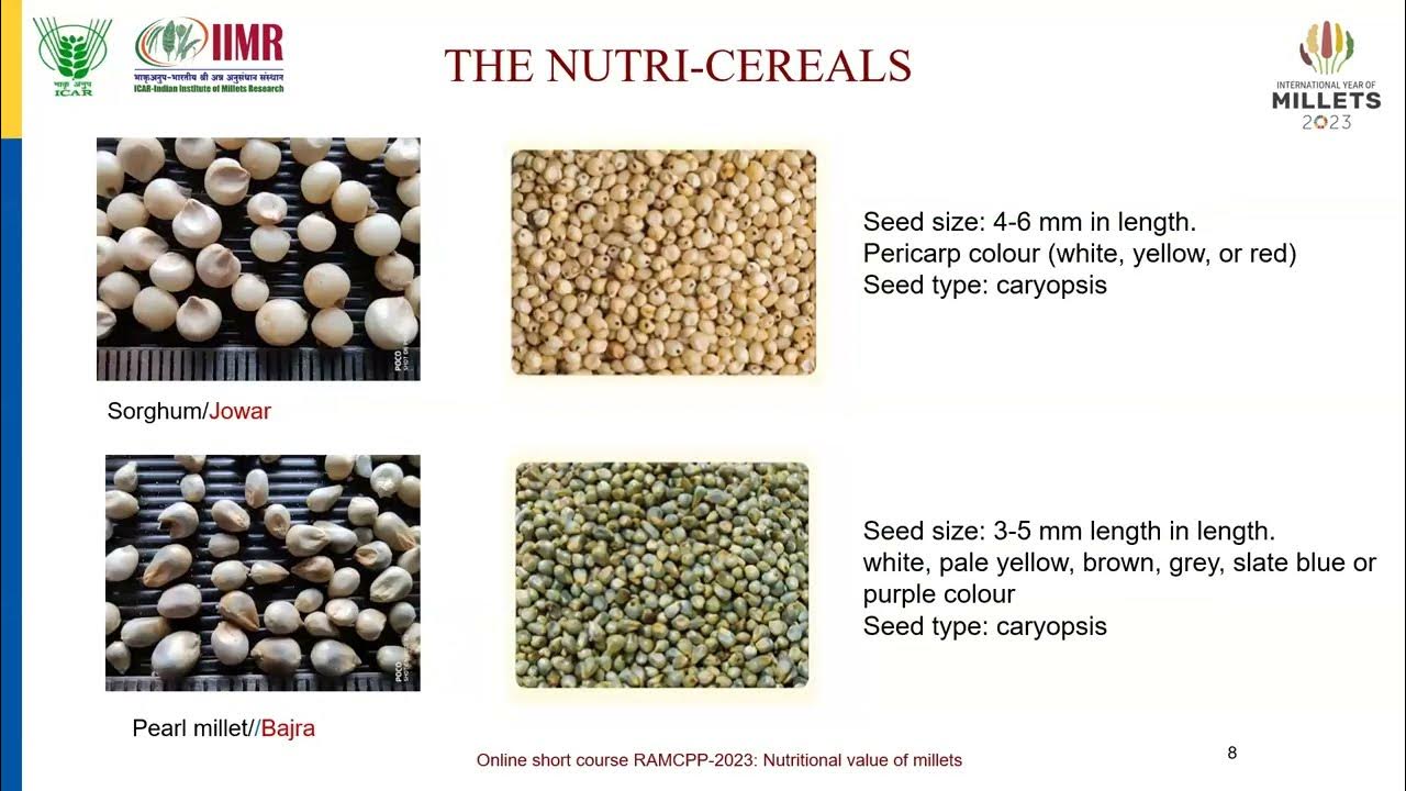 Nutritional and Health beneficial properties of Millets by Dr. Venkateshwarlu & Dr. V M Malathi