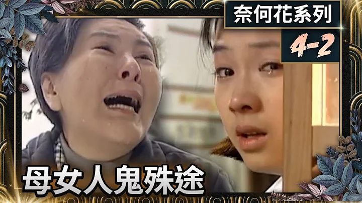 母女阴阳两隔求相认 人鬼殊途泣不成声【奈何花】EP4 精华 马景涛、席曼宁、江宏恩、六月、程秀瑛@FlowerTVseries - 天天要闻