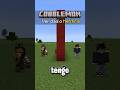 Verdad o Mentira en Minecraft Pokémon!