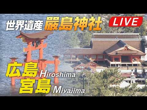 宮島 嚴島神社前ライブカメラ