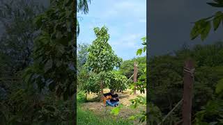 instupendo - comfort chain #dreamcore #fingerstyle #chillmusic
instupendo - comfort chain #dreamcore #fingerstyle #chillmusic instupendo - comfort chain #dreamcore #fingerstyle #chillmusic