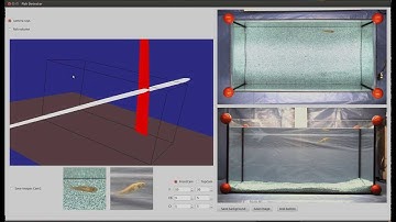 3D object tracking with refraction compensation in real-time