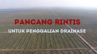 Rintis Pancang Pembukaan Lahan Perkebunan Lahan Rawa.