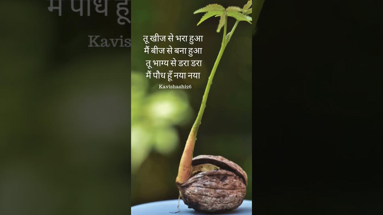Beej | Soch | Hindi kavita | shayari shorts | word porn | 