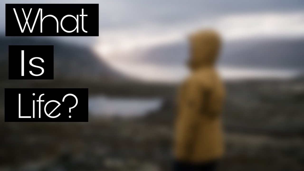 #Life What is life? - YouTube
