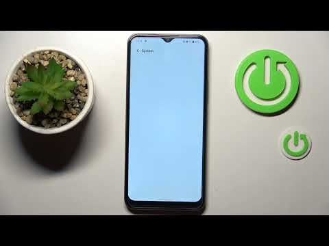How to Activate Developer Options on Vivo Y16 - Access Developer Mode