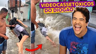 Vídeos ENGRAÇADOS para Almoçar Assistindo #7