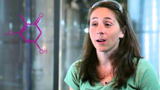 ChicaGO Science - Mary Bauer, C2ST, and HDMZ