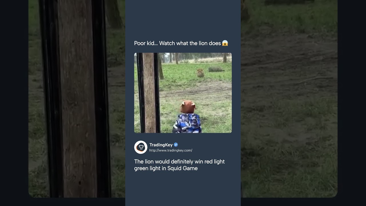 Lion attacks kid from behind 😡