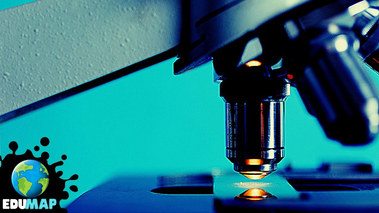 Avances Tecnológicos y su Importancia para la Biología 🔬🧪🧬 - YouTube