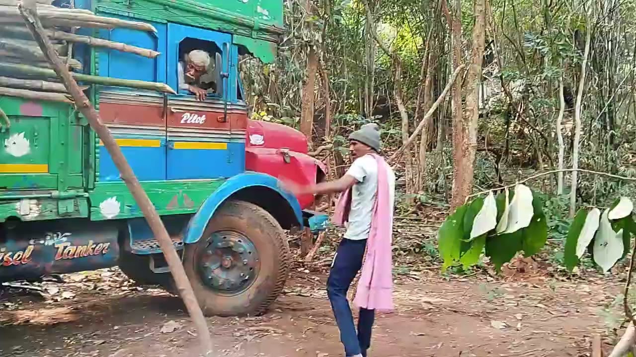 CAT MACHINE PULL TATA 1613 DUE TO LONG BAMBOO IN ODISHA FOREST 