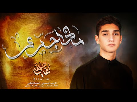 ماذا جرى احمد الفاطمي