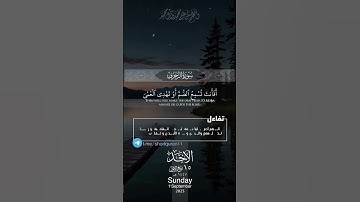 اكتب شيء تؤجر عليه 🩶😴 #القارئ_ياسر_الدوسري #karim_quran_1